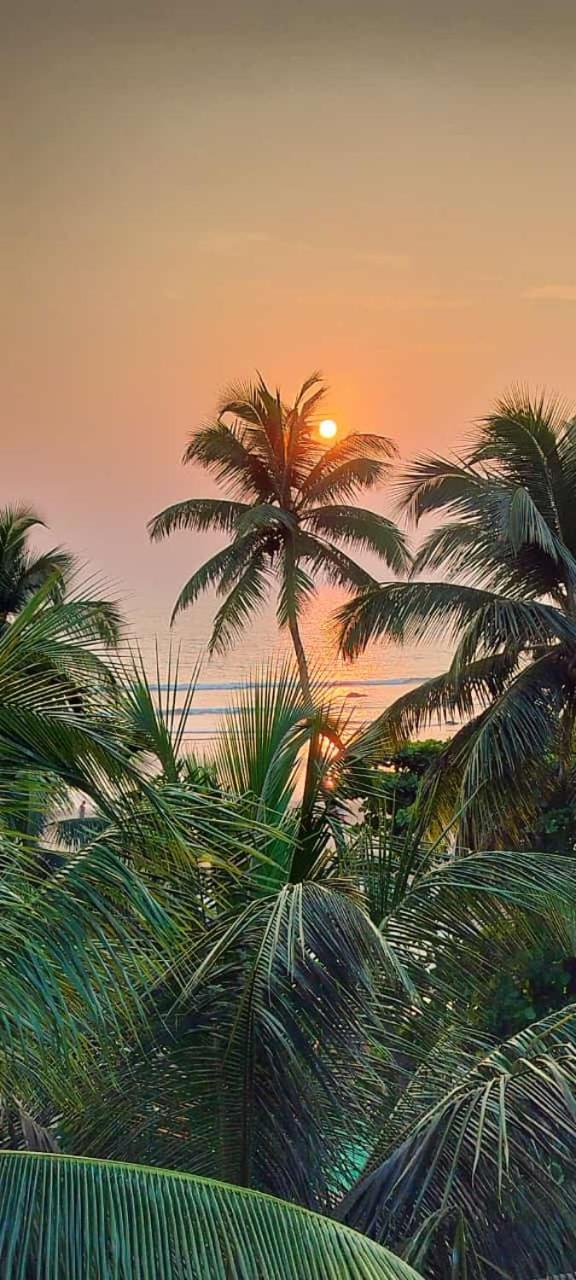 Kumbaya Beachside Hostel & Apartments At Arambol Beach エクステリア 写真